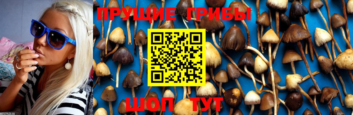 Псилоцибиновые грибы Magic Shrooms  Вход с VPN  Ливны 