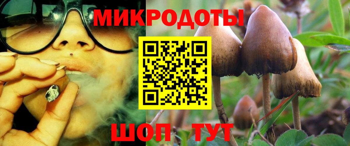 Галлюциногенные грибы мицелий Ливны